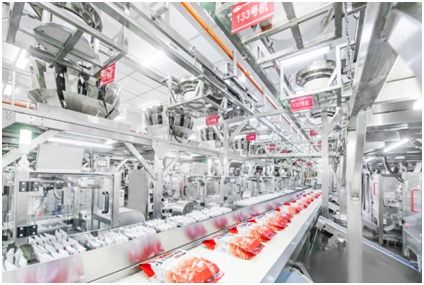 衛(wèi)龍 重塑品質(zhì)標準,匠心打動世界